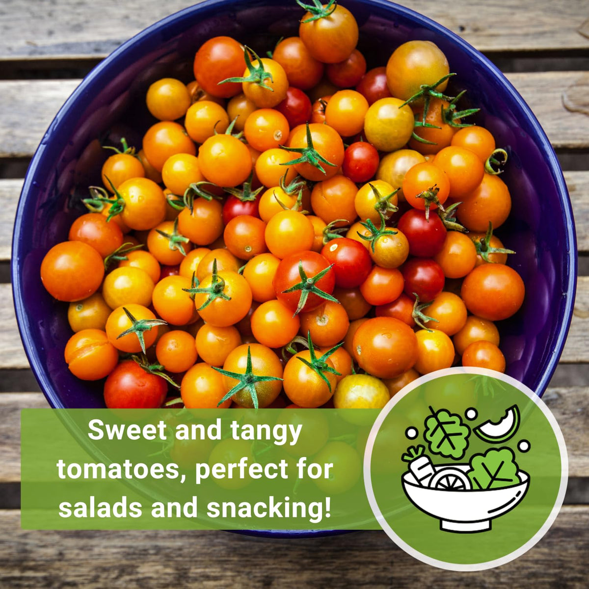 Sow Right Seeds Orange Cherry Tomatoes ready to harvest for garden snacking.