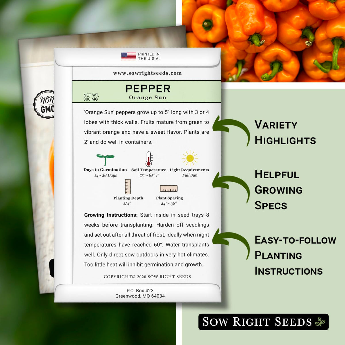 Sow Right Seeds orange sun pepper seeds germinating in warm soil for early yields