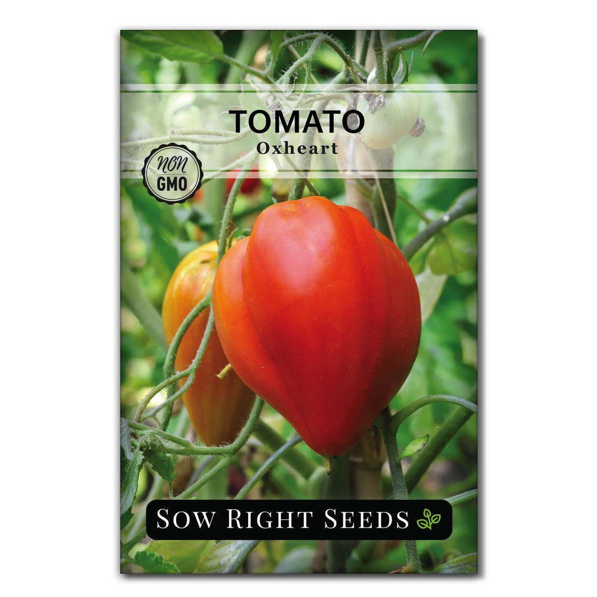 Sow Right Seeds Oxheart Pink tomato seed packet front for home gardens.