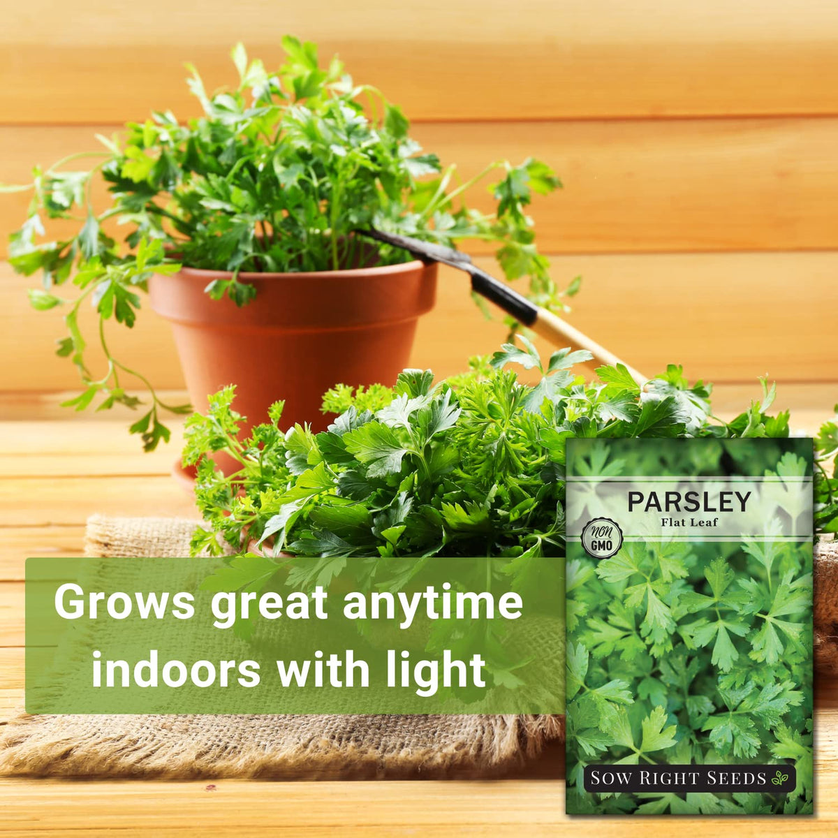 Sow Right Seeds parsley leaves harvest, ideal garnish and fresh flavor.