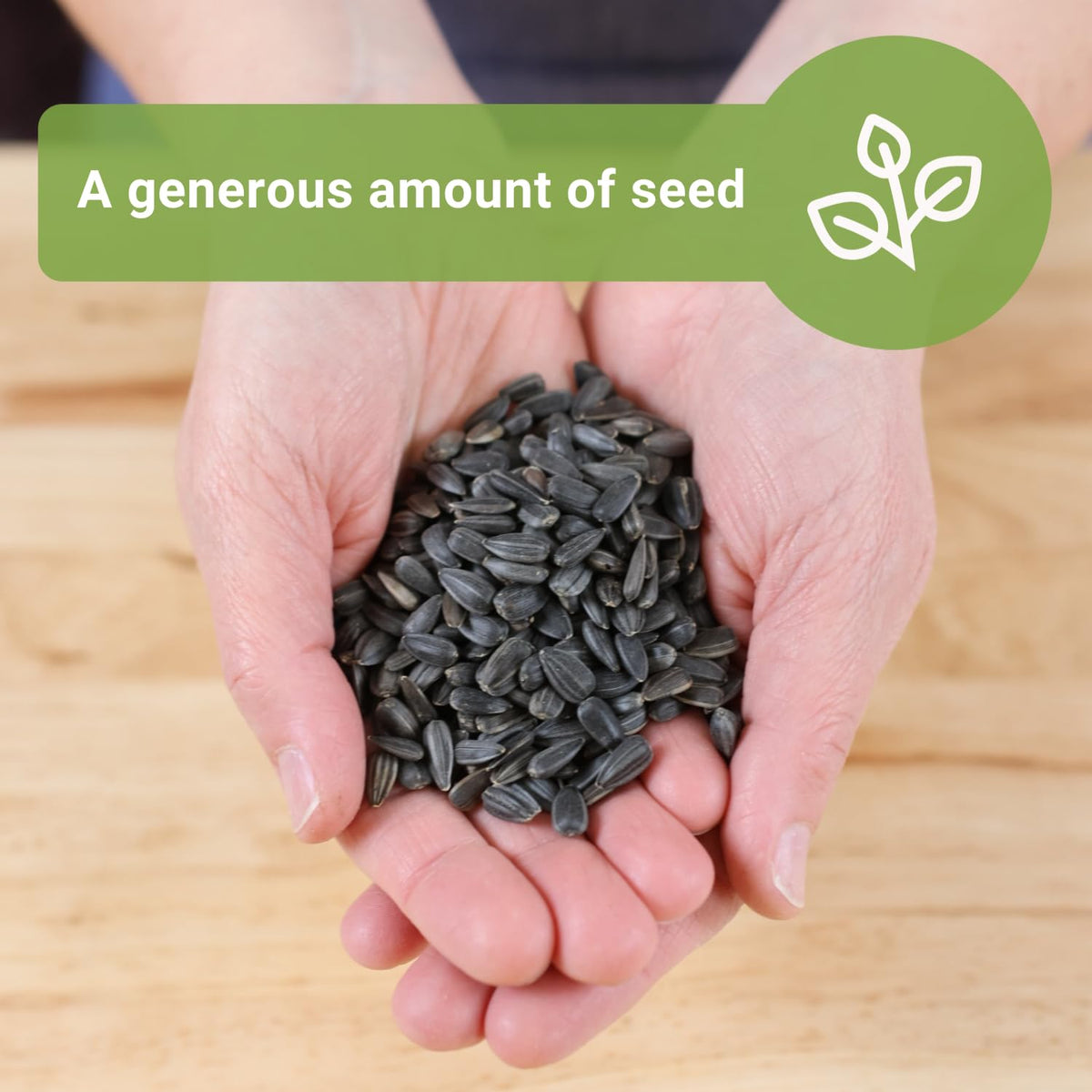 Sow Right Seeds Peredovik sunflower in a pollinator-friendly garden