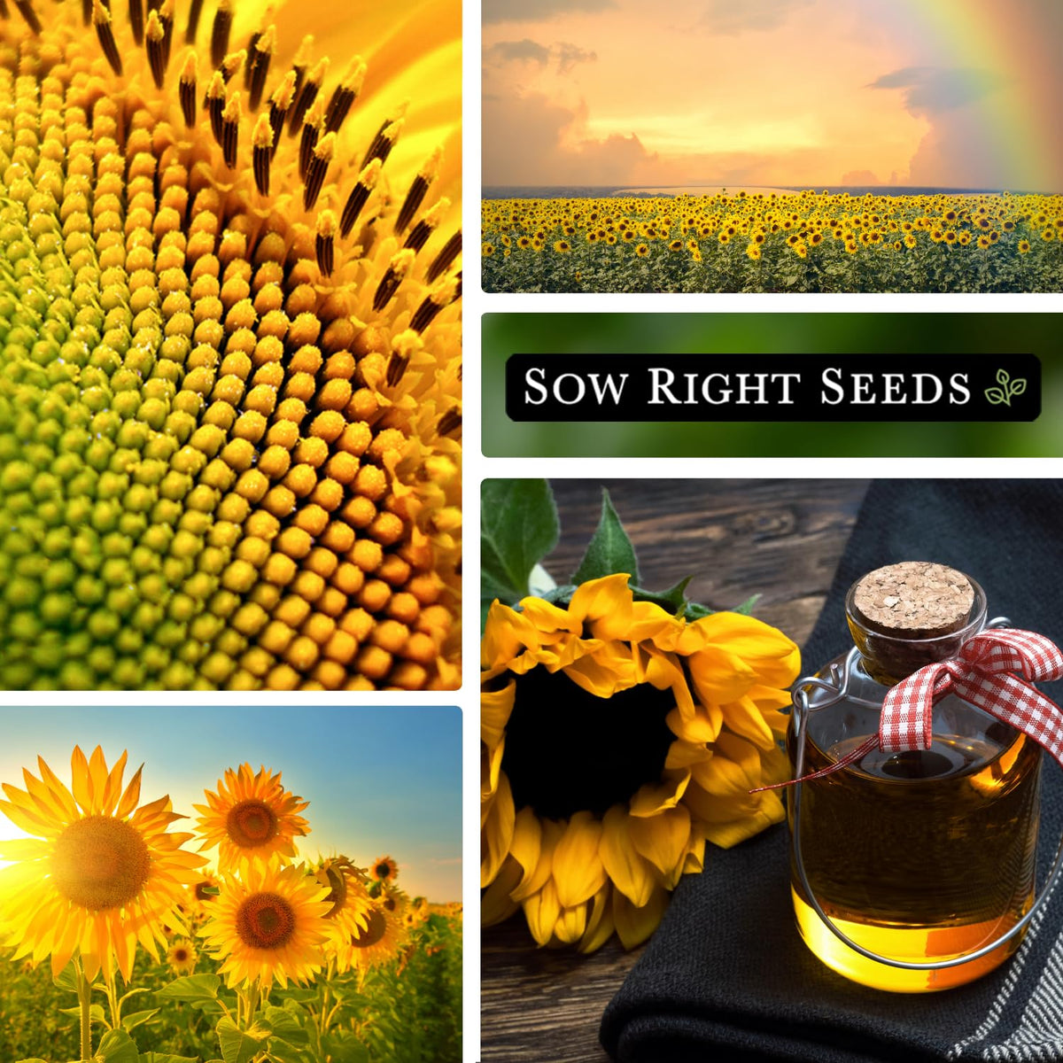 Seed packet from Sow Right Seeds with clear planting instructions