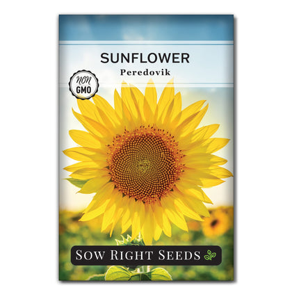 Sow Right Seeds Peredovik sunflower seeds packet for easy sowing and wildlife-friendly blooms
