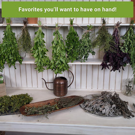 Sow Right Seeds Garlic Chives—garlic-flavored greens for soups and omelets.