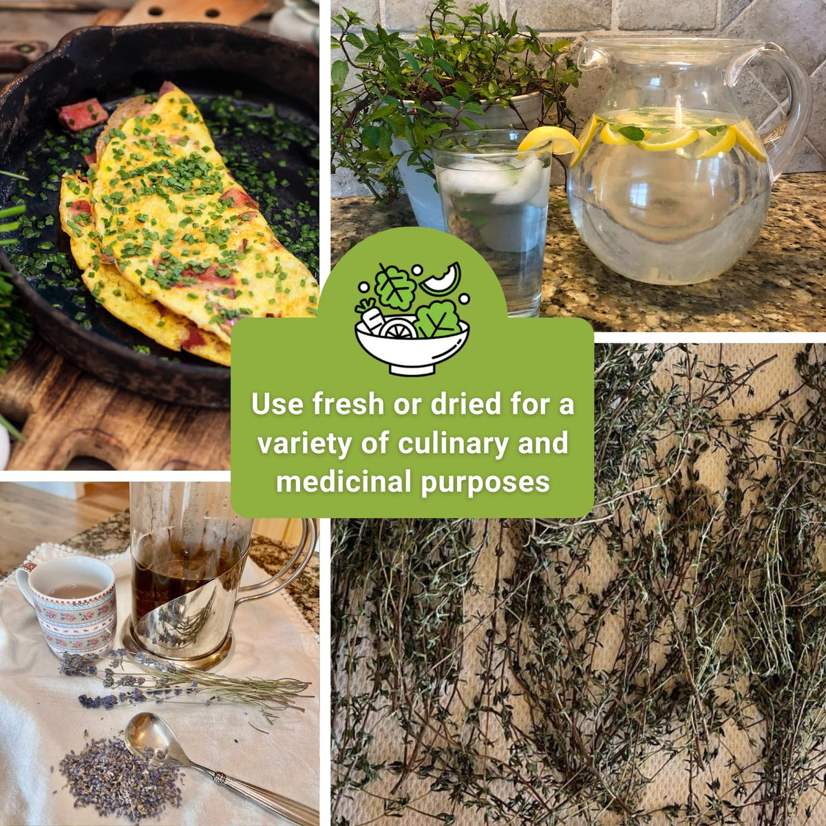 Sow Right Seeds Oregano and Marjoram—bold Mediterranean aroma for sauces.