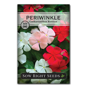 Sow Right Seeds Periwinkle seed packet with colorful options for sunny borders.