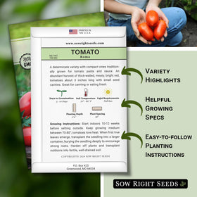 Sow Right Seeds roma tomato seeds being planted in warm garden soil