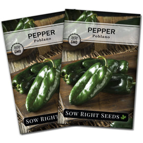 Sow Right Seeds non-GMO heirloom poblano seed packet close-up for planting.