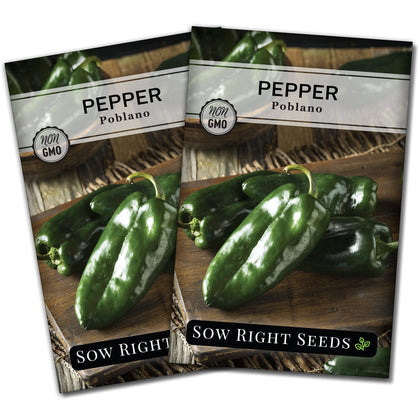 Sow Right Seeds non-GMO heirloom poblano seed packet close-up for planting.