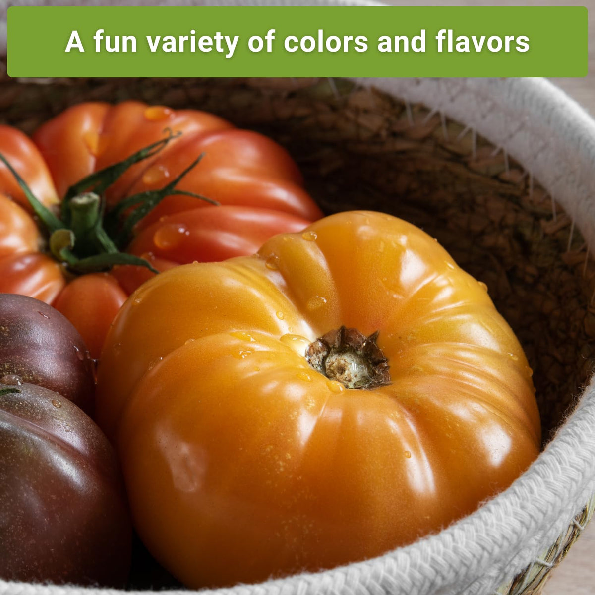 Sow Right Seeds Ponderosa Pink tomato seeds pack for large, colorful fruit.