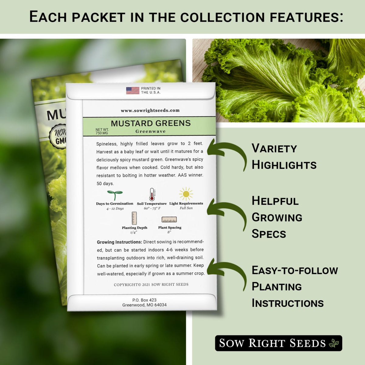 Sow Right Seeds Power Greens arugula seed pack ideal for fresh salads