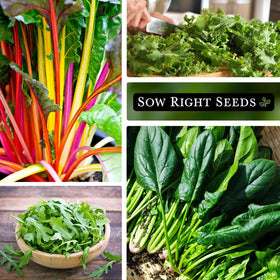 Sow Right Seeds Power Greens kale seed pack perfect for year-round greens