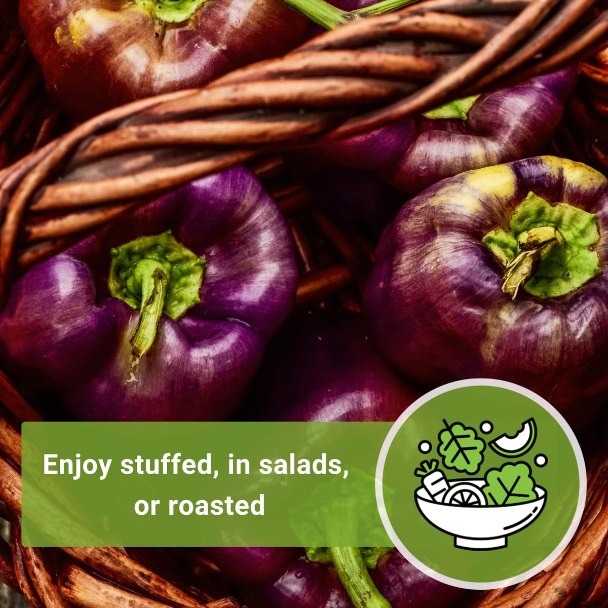 Sow Right Seeds Purple Beauty peppers ready for fresh salads and roasted dishes.