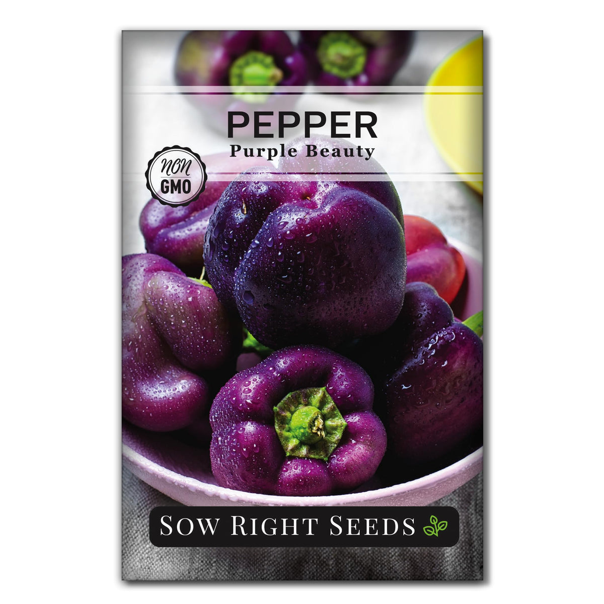 Sow Right Seeds Purple Beauty pepper seeds on a compact 24-inch plant for easy container gardening.