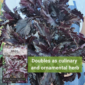 Sow Right Seeds Purple Ruffles Basil suitable for hydroponics and indoor gardens