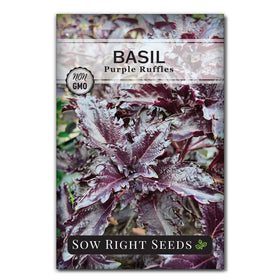 Sow Right Seeds Purple Ruffles Basil leaves for fresh pesto and salads