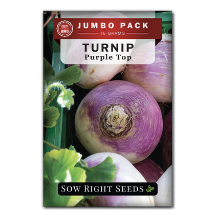Sow Right Seeds purple top white globe turnip seeds bulk pack for large gardens
