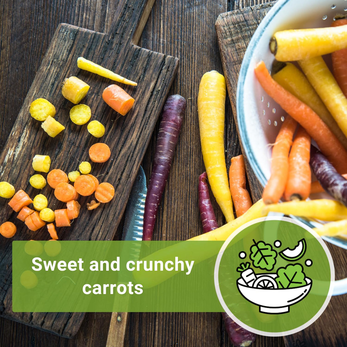 Sow Right Seeds Rainbow Mix carrots ready in 65-70 days for a rainbow harvest.