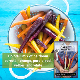 Sow Right Seeds Rainbow Mix carrot seeds germinate in 14–21 days with warm soil.