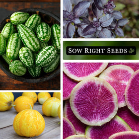 Sow Right Seeds Cucamelon seeds for bite-sized fruits great in snacks and salads.