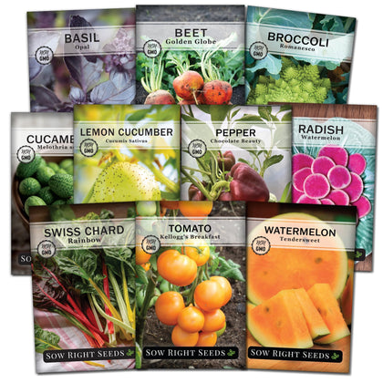 Sow Right Seeds Golden Globe Beet seeds offer vibrant harvests for salads and roasting.