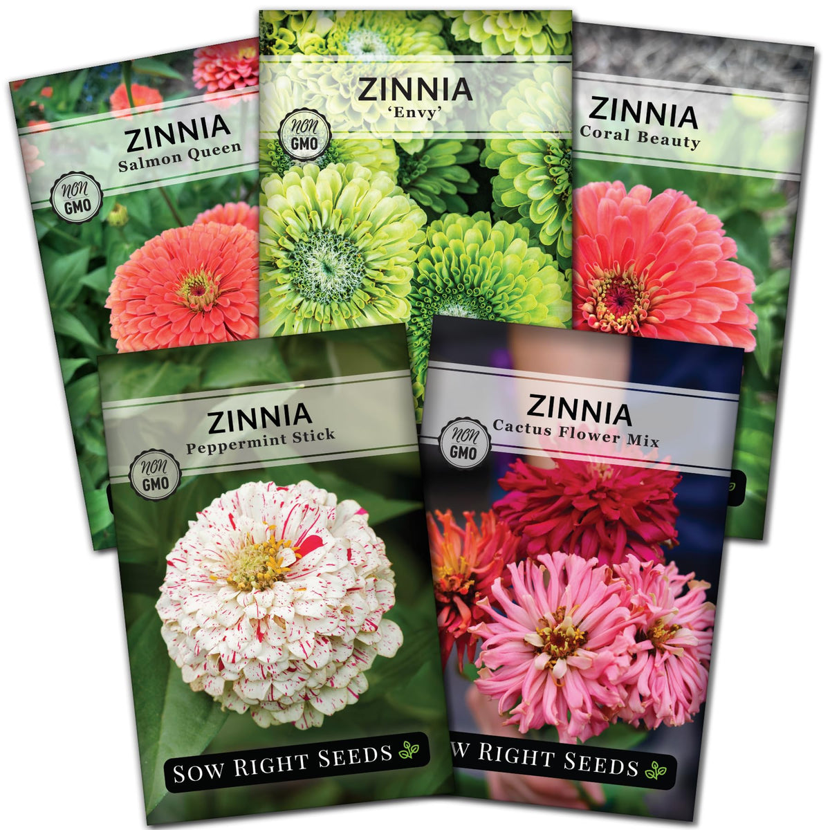Sow Right Seeds rare zinnia packets showcase vibrant colors for a pollinator-friendly garden.