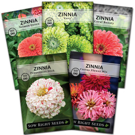 Sow Right Seeds rare zinnia packets showcase vibrant colors for a pollinator-friendly garden.