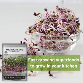 Sow Right Seeds red cabbage microgreens packet front showcases premium non-GMO heirloom seeds.