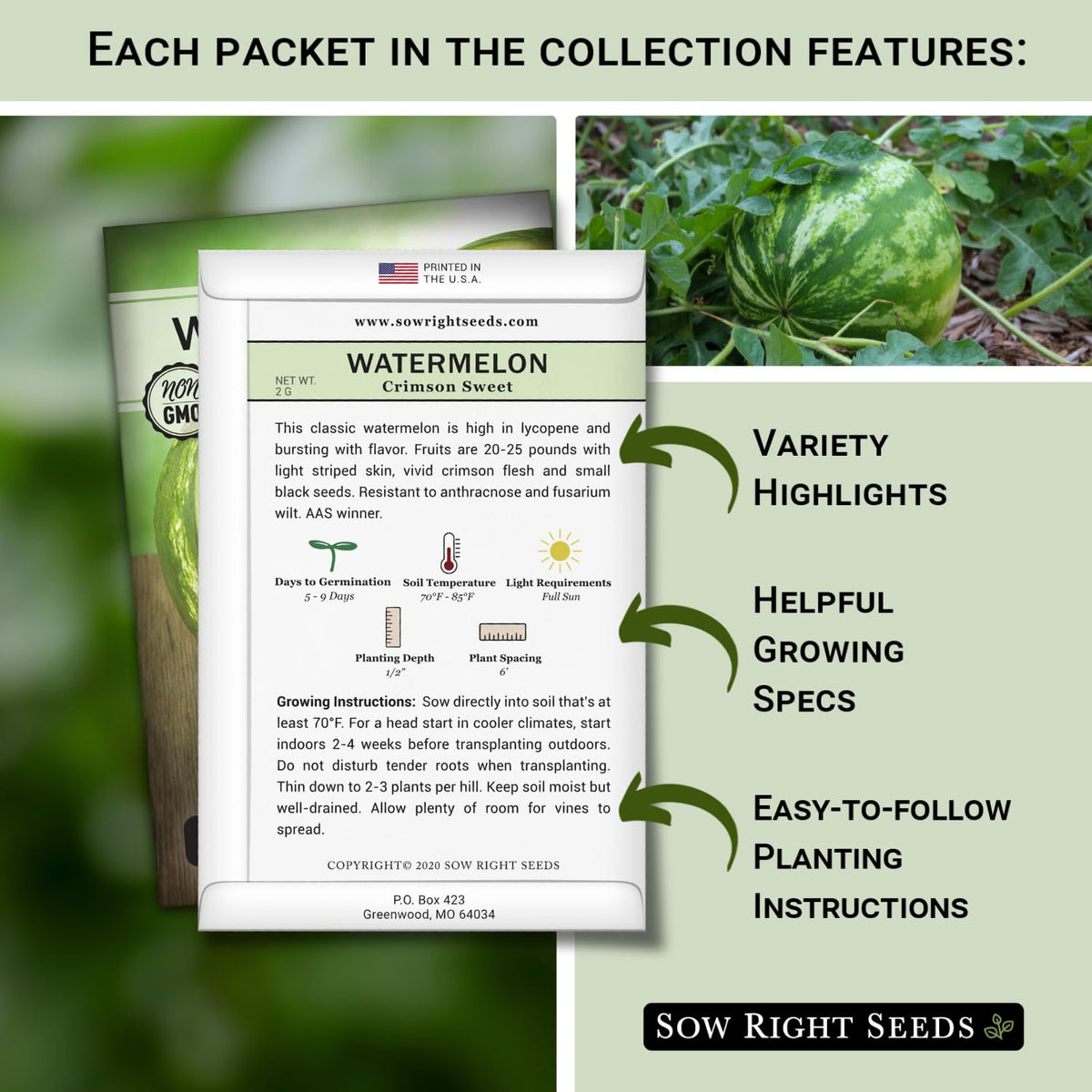 Sow Right Seeds Red Jubilee watermelon fruits ready for a home harvest.