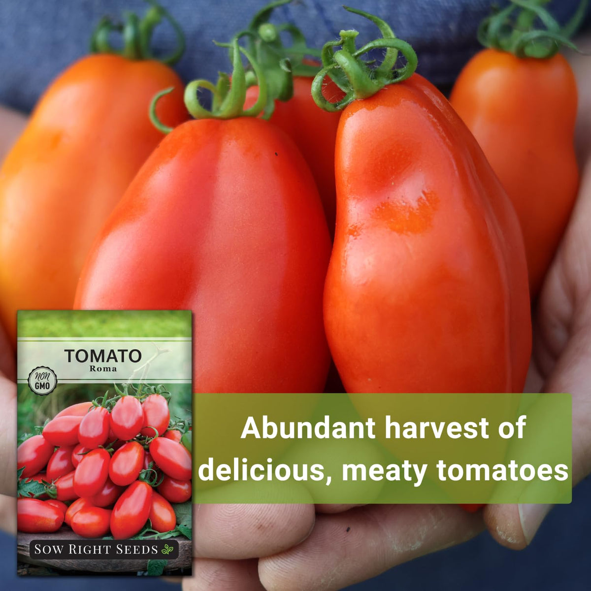 Sow Right Seeds Roma tomatoes prepared for sauces and canning