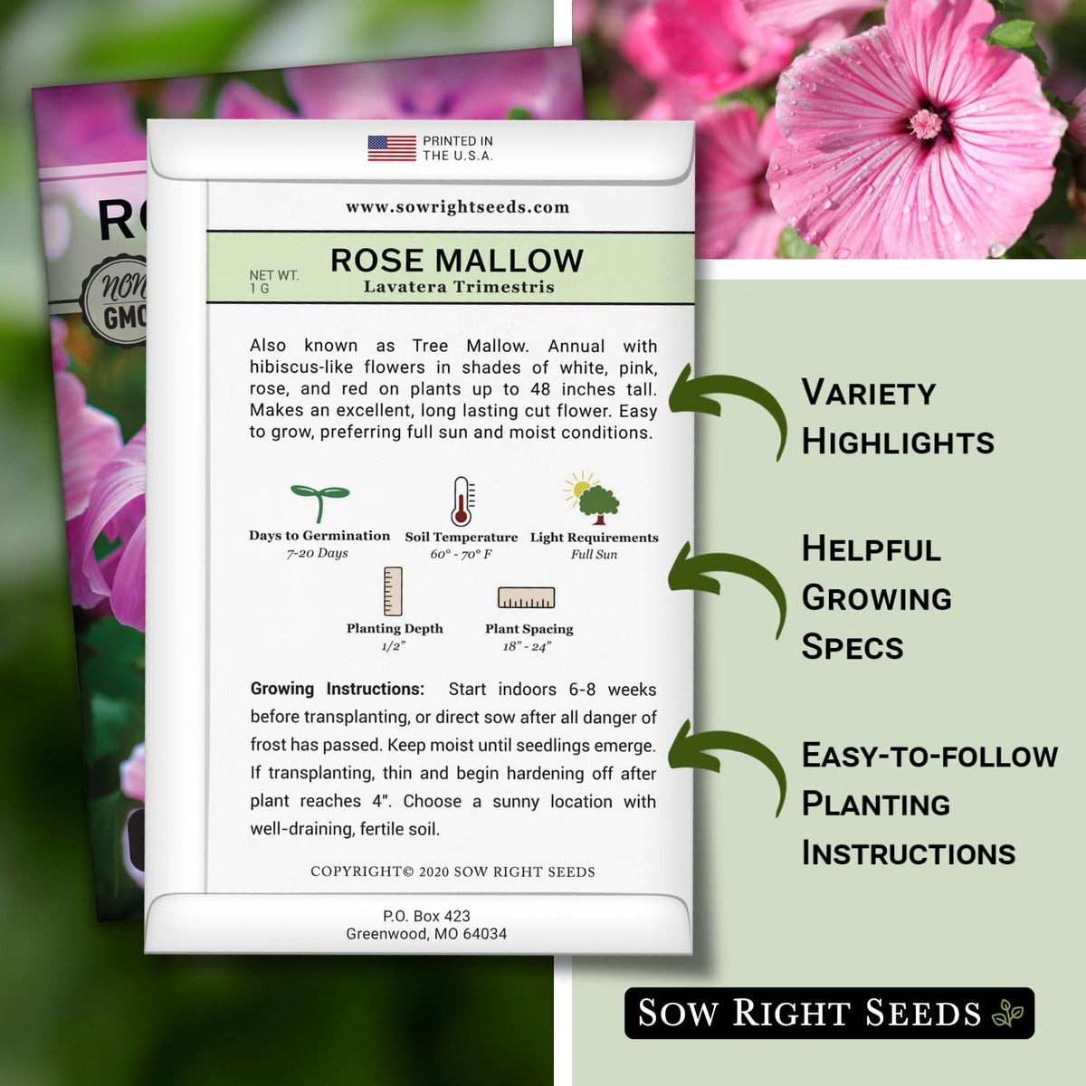 Sow Right Seeds Rose Mallow germination timing in 7-20 days illustration.