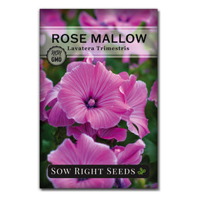 Sow Right Seeds Rose Mallow seed packet for easy planting and colorful blooms.