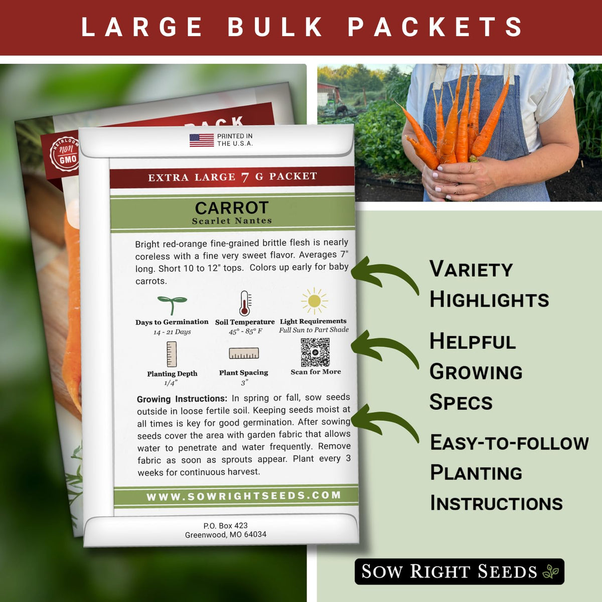 Scarlet Nantes carrots in garden rows show vibrant color and crisp sweetness.
