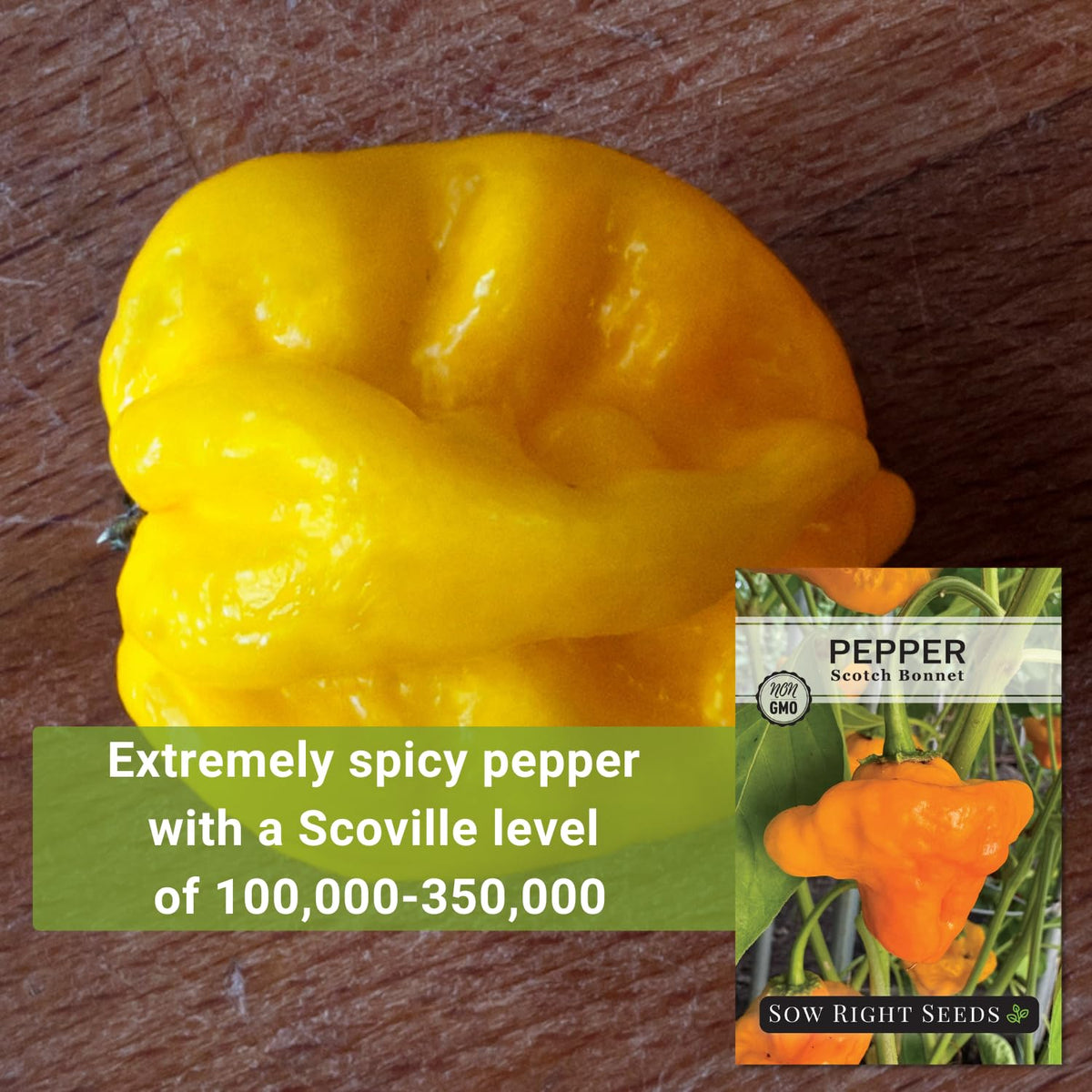 Sow Right Seeds Scotch Bonnet seeds show growth habits and spacing tips for healthy peppers.