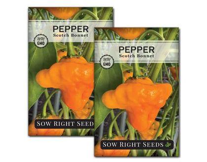 Sow Right Seeds Scotch Bonnet seeds in a premium packet for a fiery harvest.