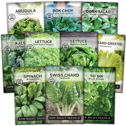 Sow Right Seeds spinach and arugula leaves ready for fresh salads.