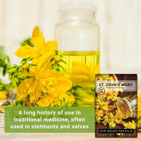 Sow Right Seeds St. John’s Wort germination steps guide for thriving home plantings