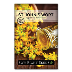 Sow Right Seeds St. John’s Wort seed packet ready for sowing in sun