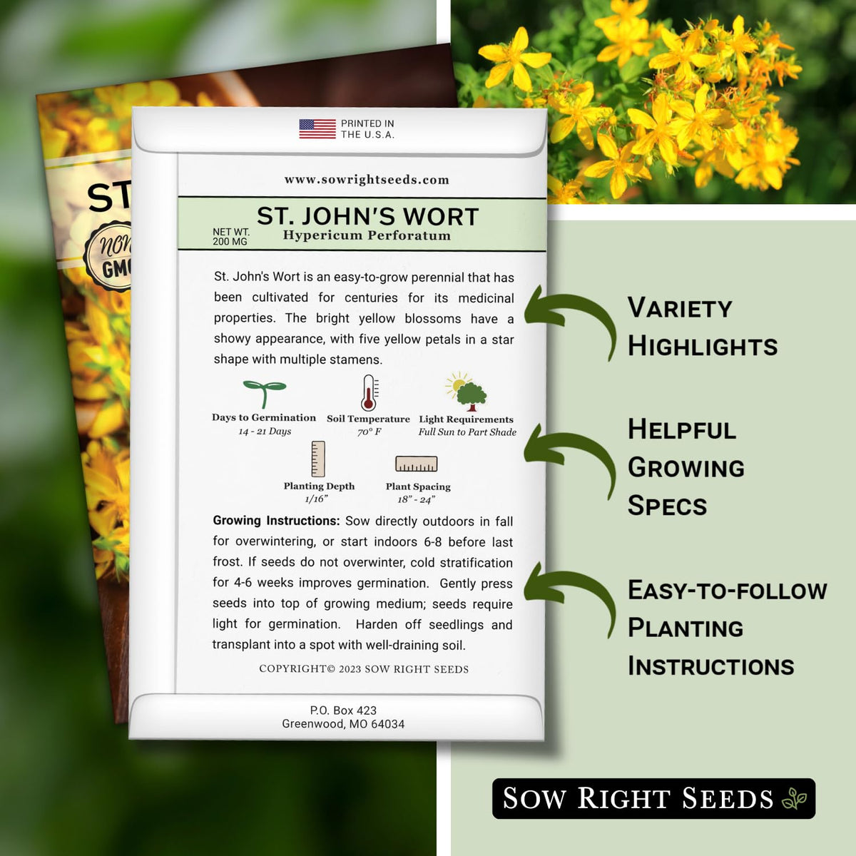 Sow Right Seeds St. John’s Wort yellow blossoms attract pollinators and brighten borders