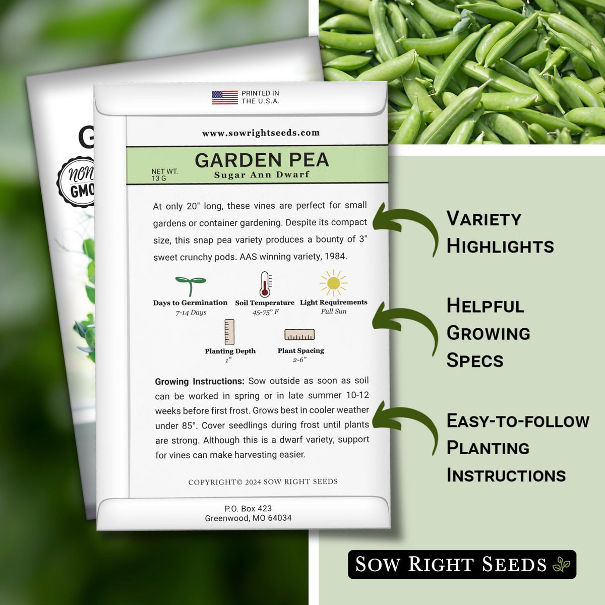 Sow Right Seeds Sugar Ann Dwarf Pea vines growing compactly in a small garden.