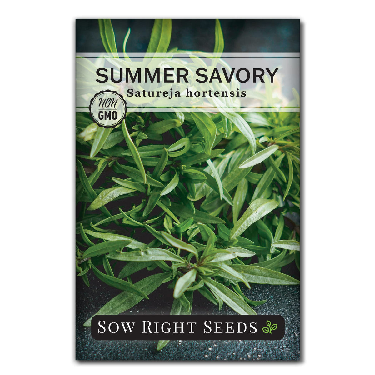 Sow Right Seeds Summer Savory seed packet ready for planting in the garden.