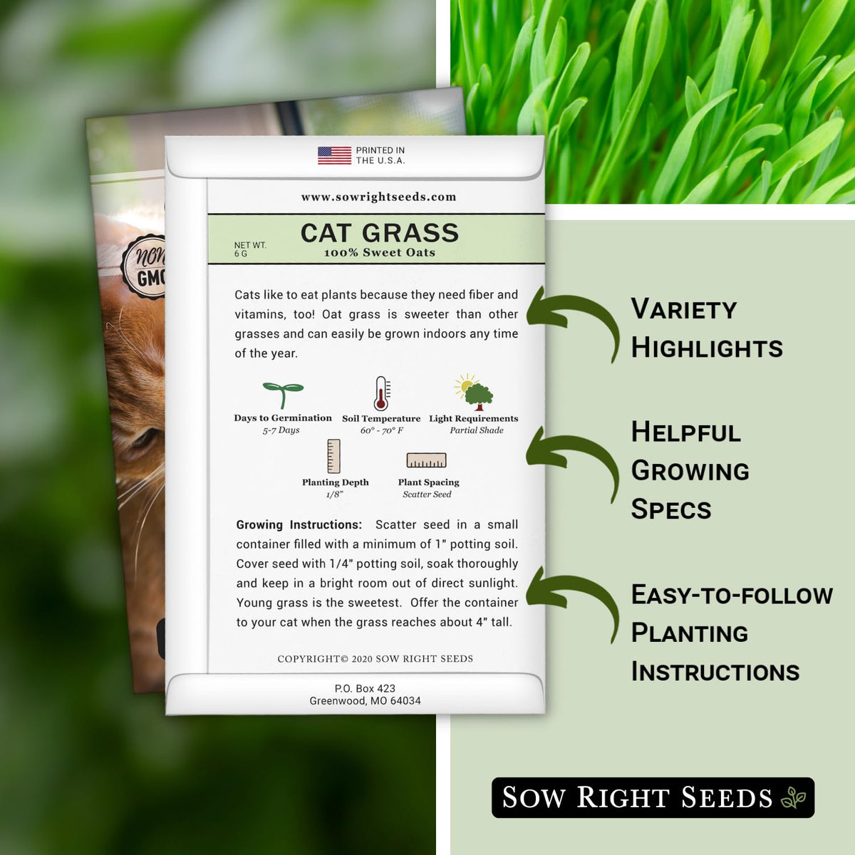 Sweet oat grass variety by Sow Right Seeds promotes palatable greens for pets at home.