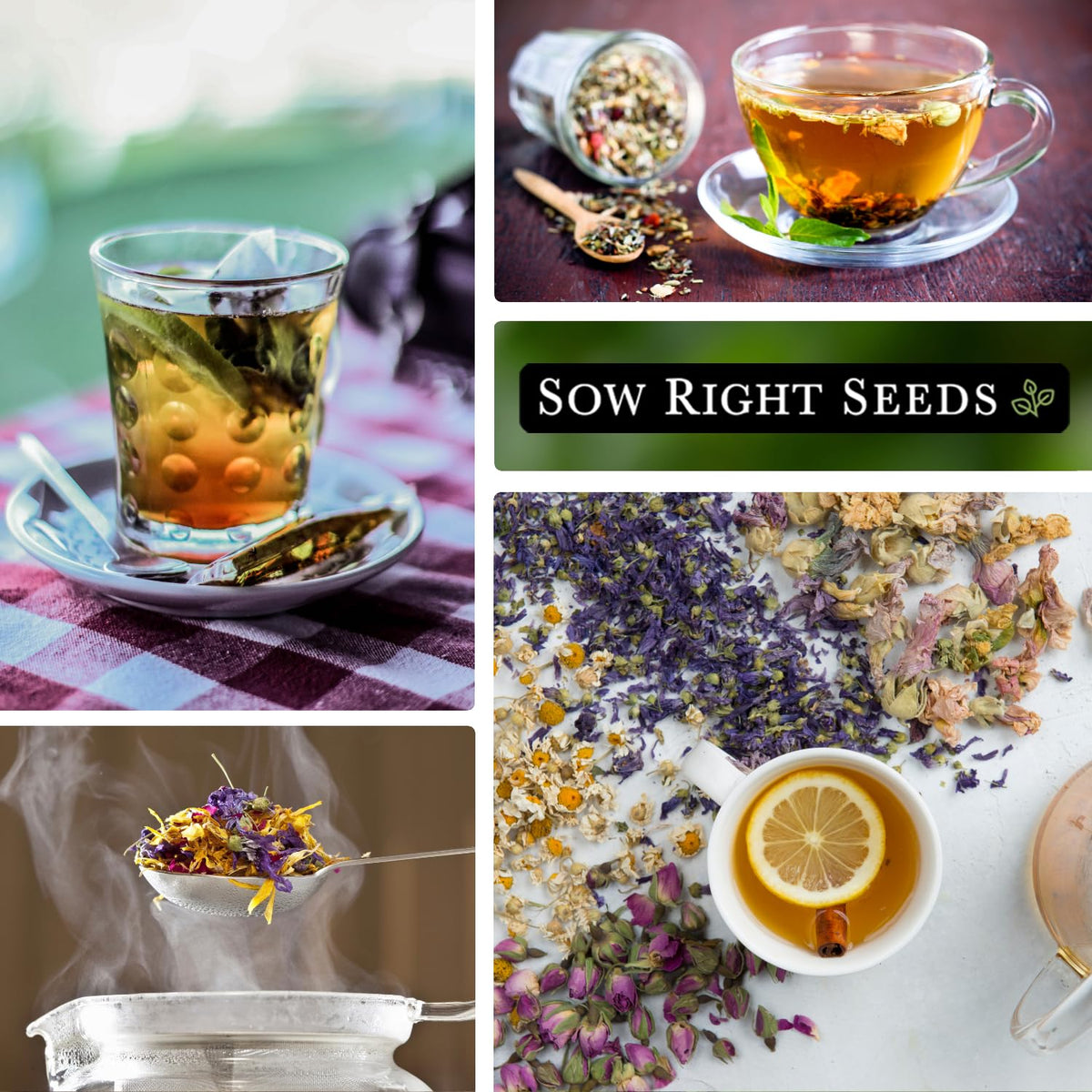 Sow Right Seeds German chamomile seed packet for relaxing caffeine-free tea.