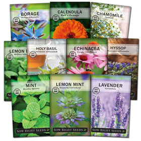 Sow Right Seeds lemon balm seed packet for fresh herbal tea harvests.