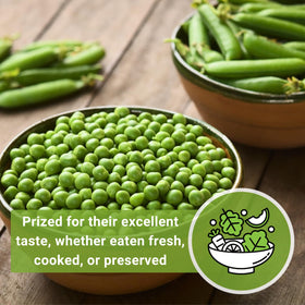 Sow Right Seeds Telephone Pea packaging reveals Non-GMO, heirloom seed choice
