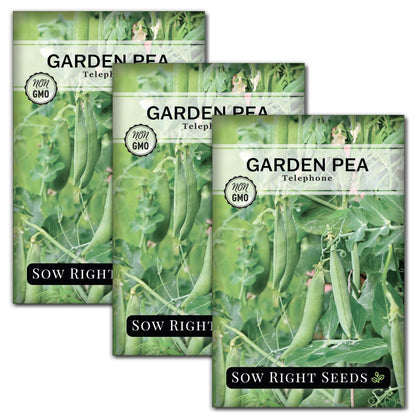 Sow Right Seeds Telephone Pea seeds in a premium packet, ideal for home gardens and fresh shelled peas