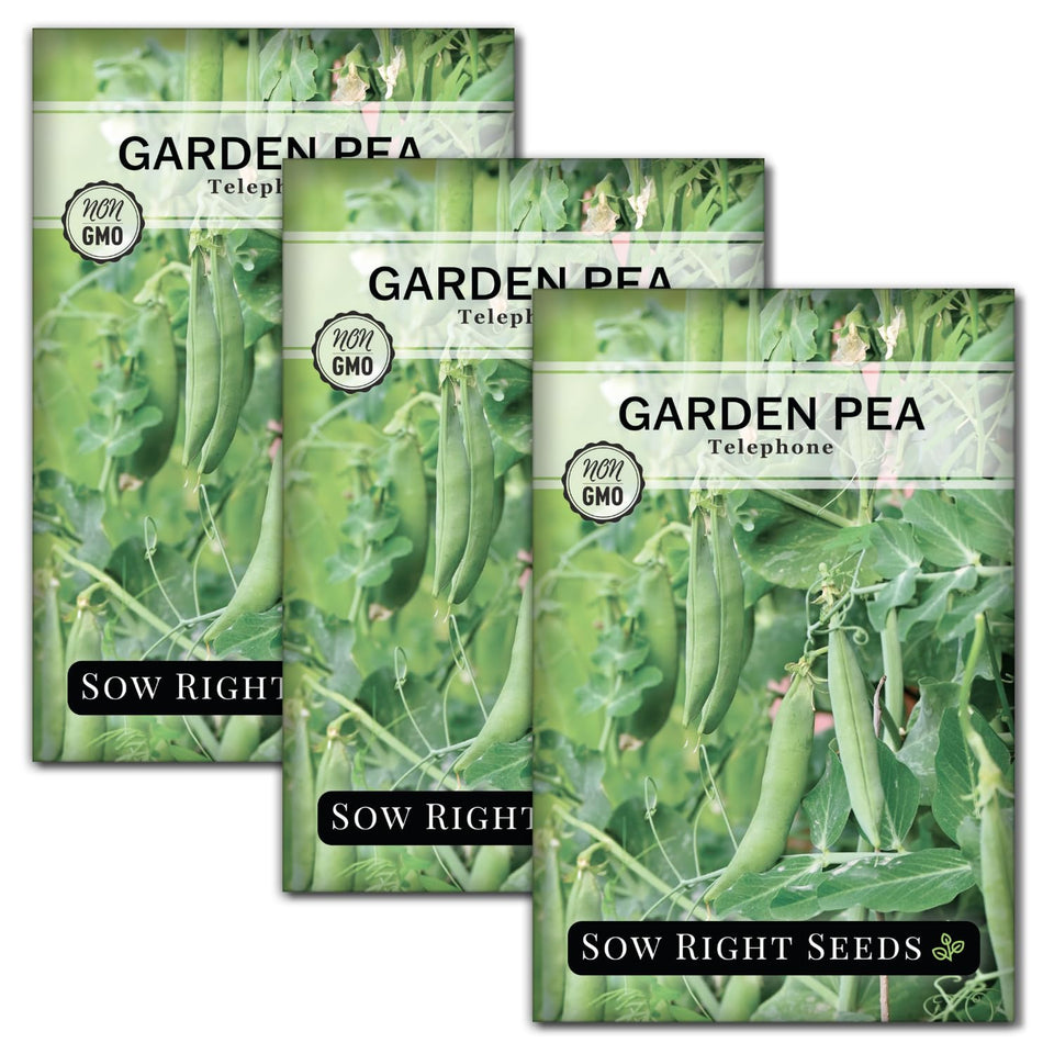 Sow Right Seeds Telephone Pea seeds in a premium packet, ideal for home gardens and fresh shelled peas