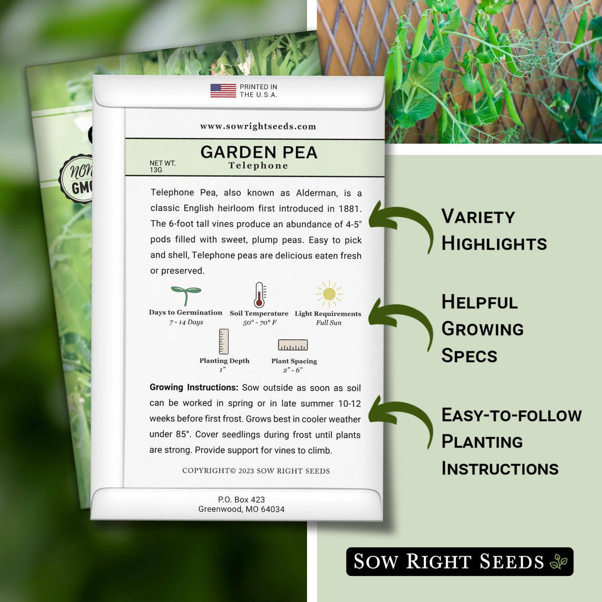 Sow Right Seeds Telephone Pea vines on a trellis, showing tall growth and sturdy support
