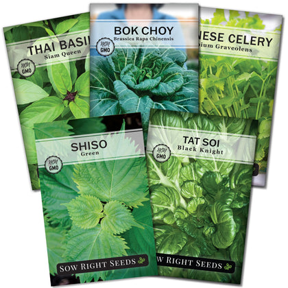 Sow Right Seeds Siam Queen Thai Basil seeds in a packet for fresh stir-fries and curries.