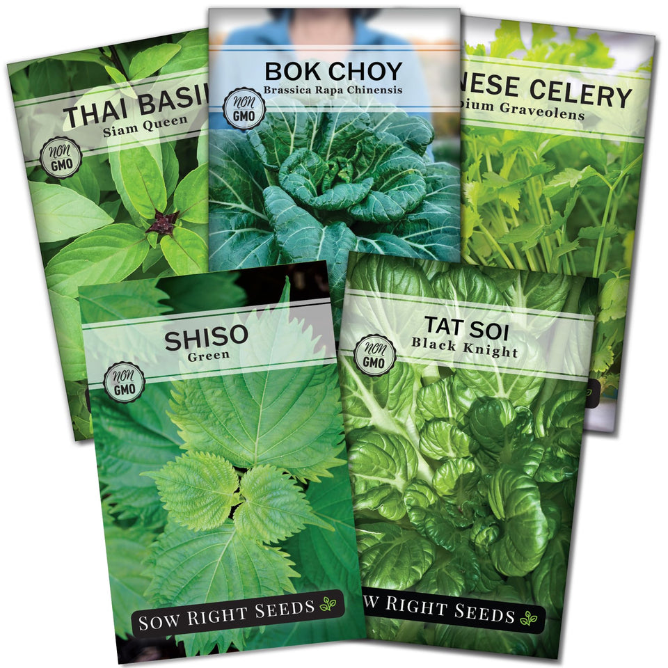 Sow Right Seeds Siam Queen Thai Basil seeds in a packet for fresh stir-fries and curries.